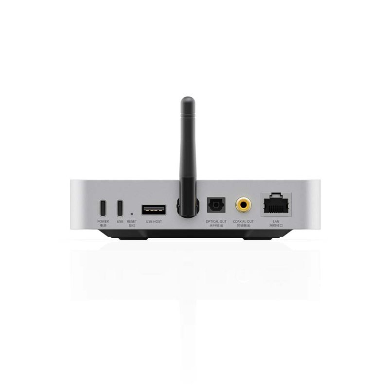 FiiO SR11 rear panel connections