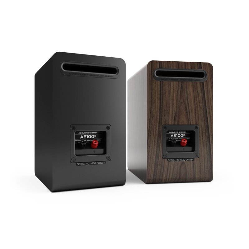 Acoustic Energy AE100 MK2 Bookshelf Speakers Satin Black (Pair) — rear panel