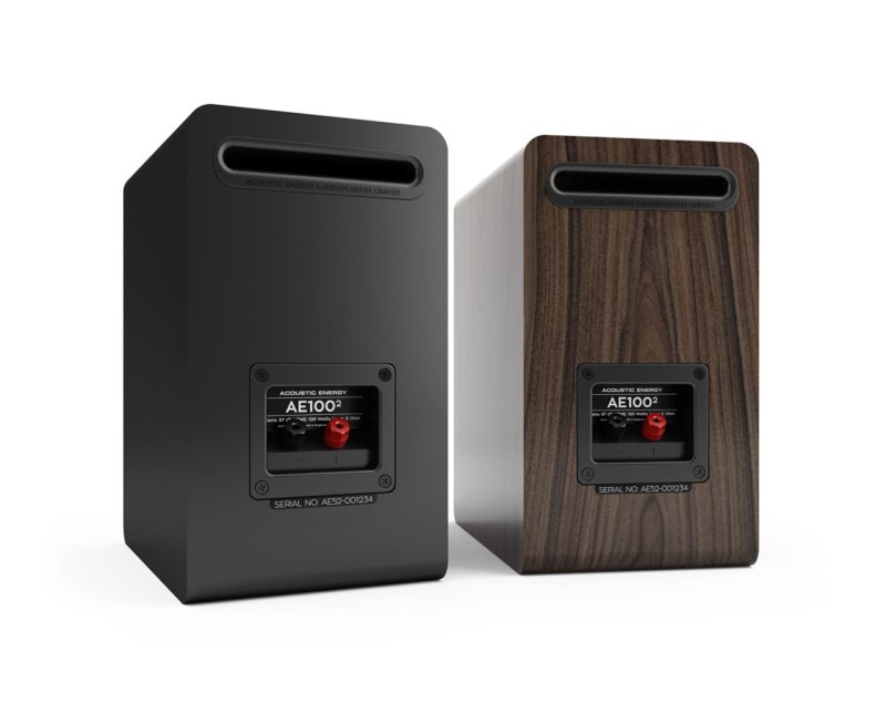 Acoustic Energy AE100 MK2 Bookshelf Speakers Satin White (Pair) — rear panel
