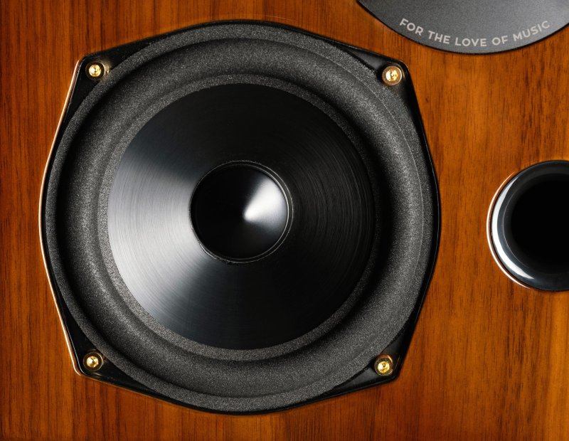 Close-up of the 125mm aluminium mid/bass driver on the Acoustic Energy AE2 40th Anniversary High Gloss Walnut cabinet