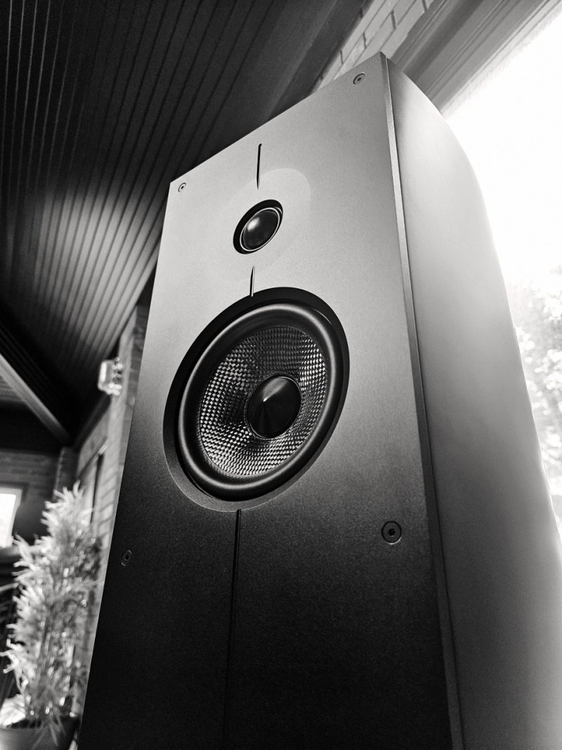 Acoustic Energy Corinium Floorstanding Speakers Matte Black (Pair) — driver detail from below