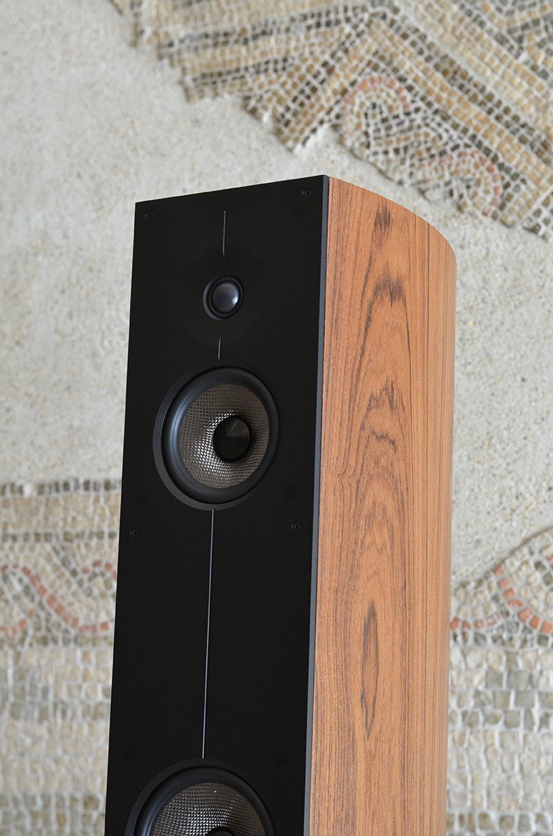 Acoustic Energy Corinium Floorstanding Speakers (Tectona) detail