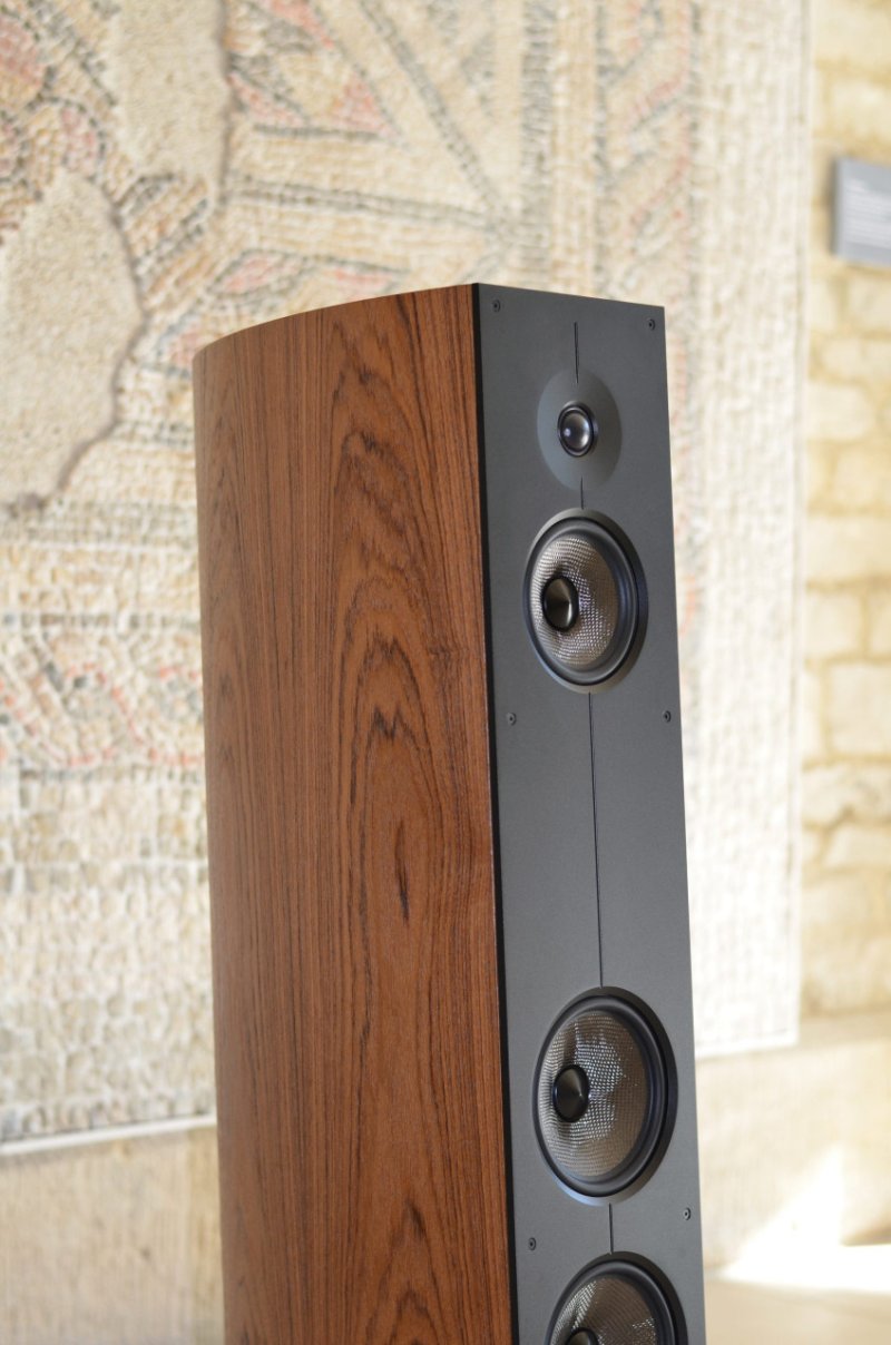 Acoustic Energy Corinium Floorstanding Speakers (Tectona) detail