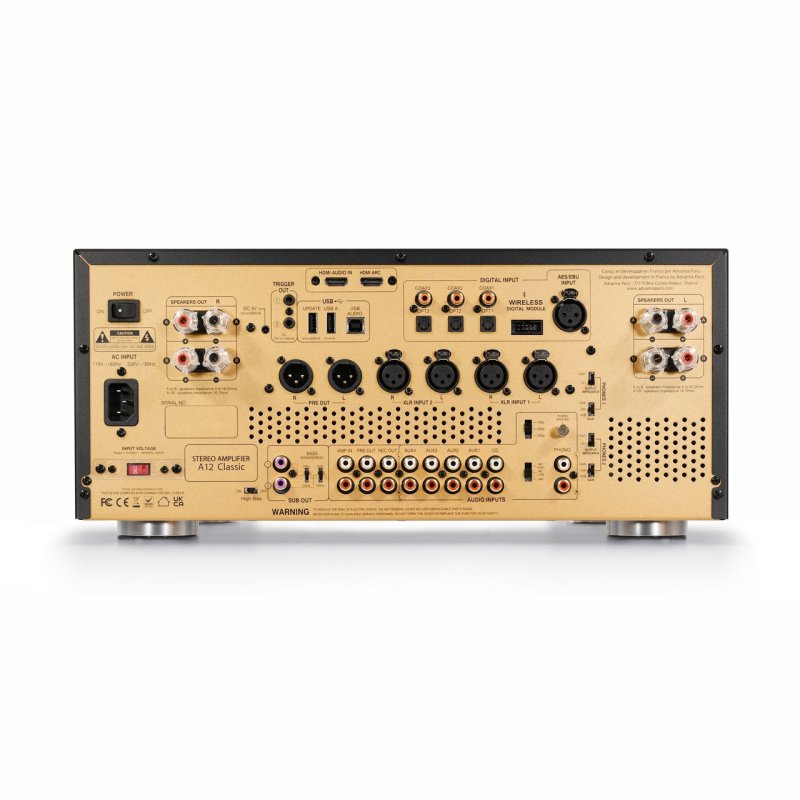 Advance Paris A12 Integrated Amplifier — rear panel