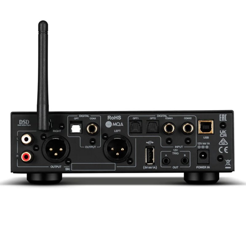 Audiolab D7 DAC Black — rear panel