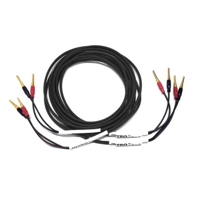Black Rhodium INTRO Speaker Cable (3m Pair)