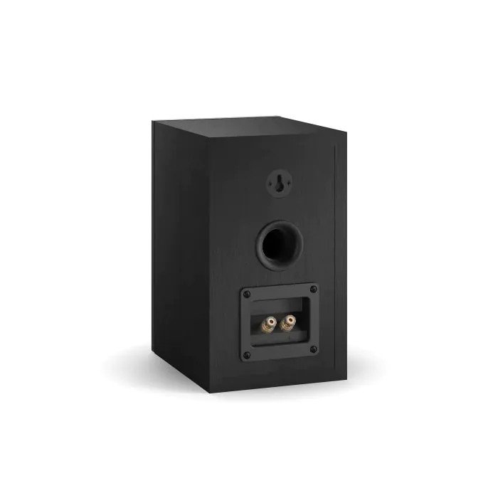 DALI Oberon 1 Bookshelf Speakers Black Ash (Pair) — rear panel