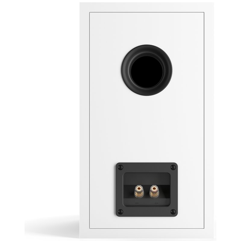 DALI Oberon 3 Bookshelf Speaker White - Rear Port and Binding Posts