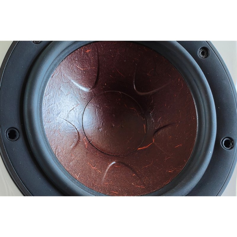 DALI Rubikore 6 Clarity Cone driver detail