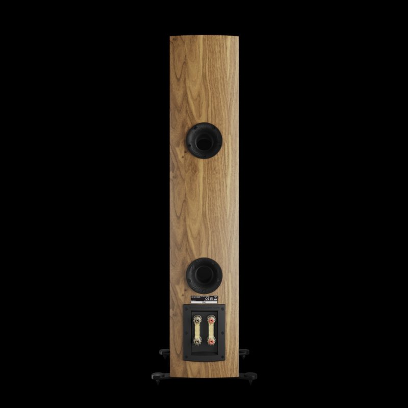 DALI Rubikore 6 Natural Walnut rear