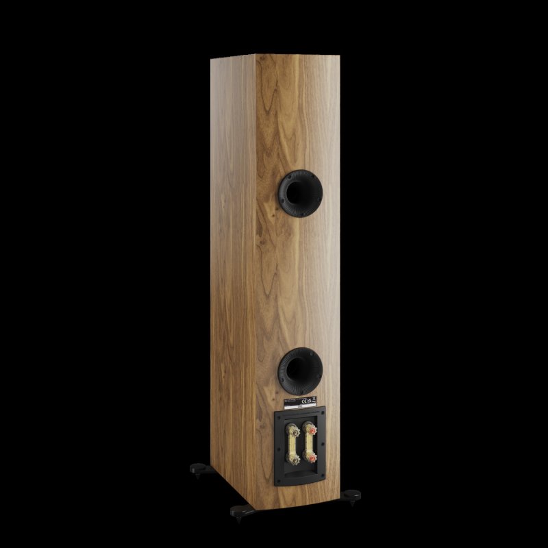 DALI Rubikore 6 Natural Walnut rear ports and binding posts