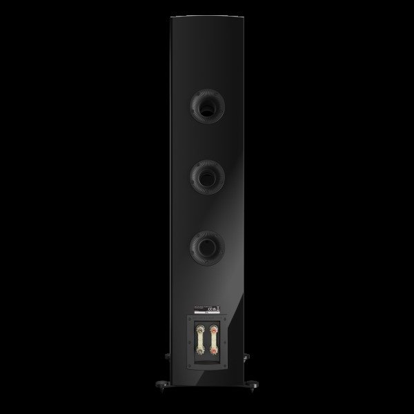 DALI Rubikore 8 High Gloss Black rear, ports and bi-wire terminals