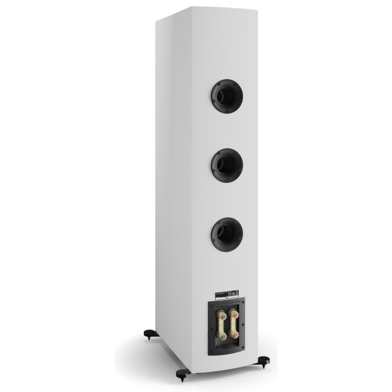DALI Rubikore 8 High Gloss White rear, ports and bi-wire terminals