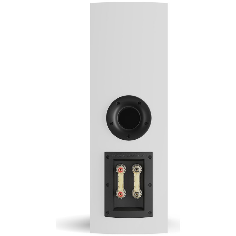 DALI Rubikore Cinema High Gloss White rear view, port and bi-wire/bi-amp terminal panel