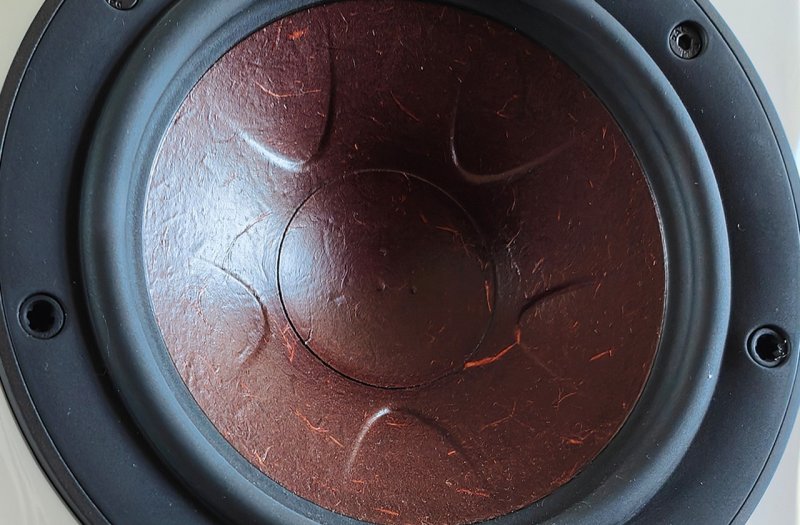 DALI Rubikore Clarity Cone wood fibre woofer detail
