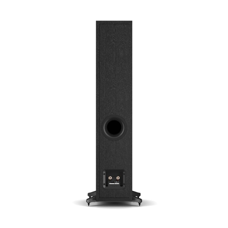 DALI Sonik 5 Floorstanding Speakers Black Ash (Pair) — rear view