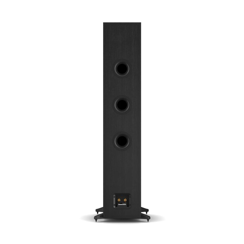 DALI Sonik 9 Floorstanding Speakers Black Ash (Pair) — rear panel