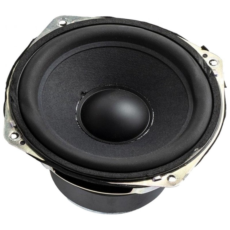 Denon SC-N10 - 120mm cone woofer