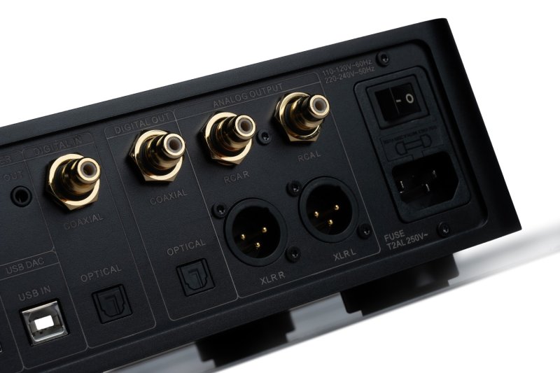 Dorpo DMP-A1 rear panel XLR and RCA outputs detail
