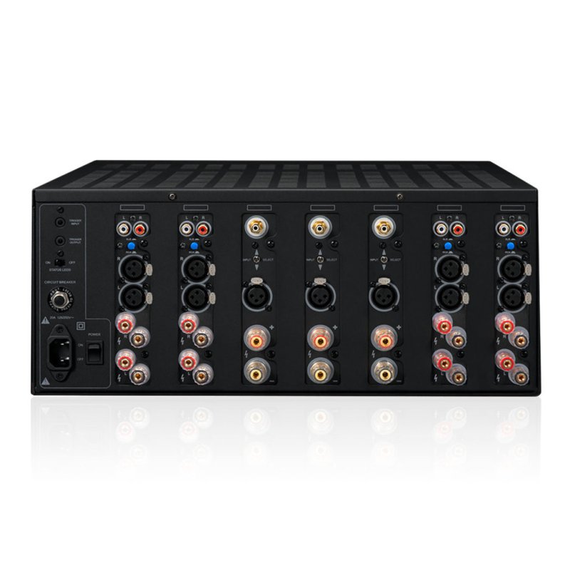 Emotiva XPA-11 Gen3 Power Amplifier — rear panel