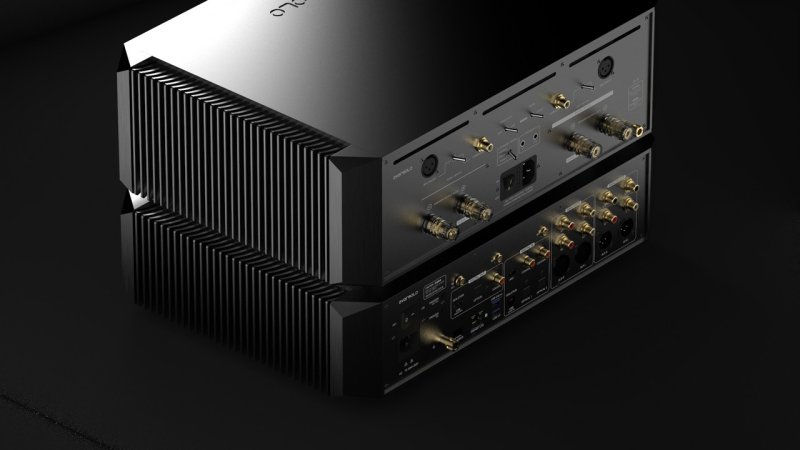 EverSolo AMP-F10 Power Amplifier rear connection detail