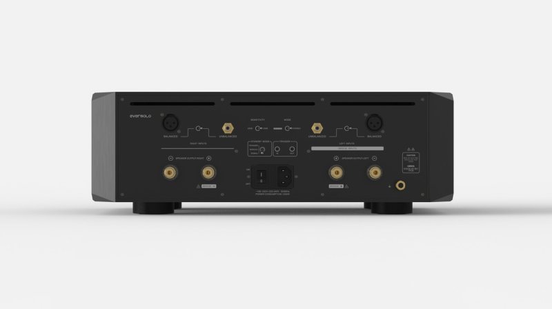 EverSolo AMP-F10 Power Amplifier rear panel connections