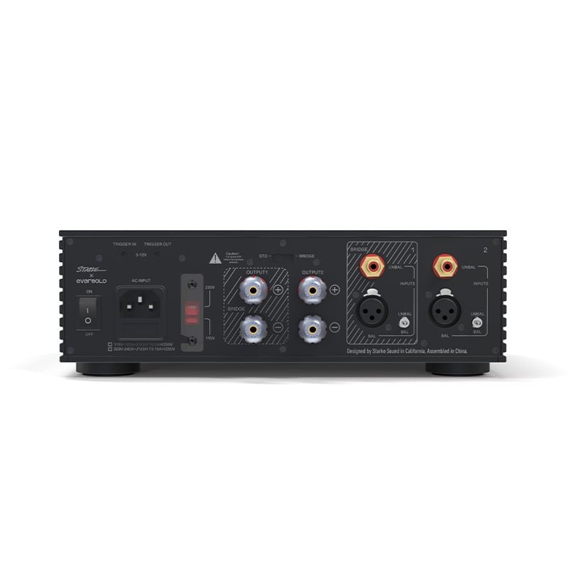EverSolo AMP-F2 Power Amplifier Black rear panel connections