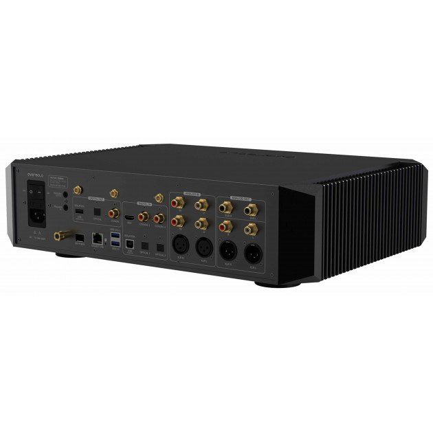 EverSolo DMP-A10 rear panel angled view