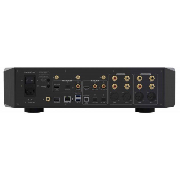 EverSolo DMP-A10 rear panel connections