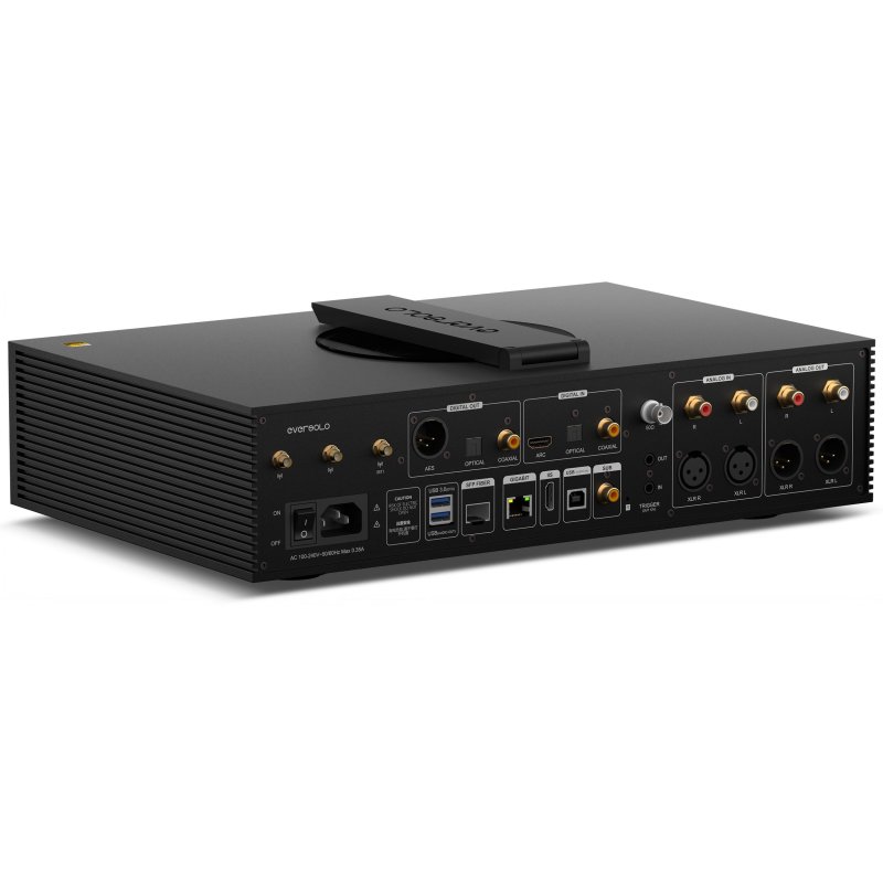 EverSolo DMP-A8 Master Edition Gen2 rear angled view