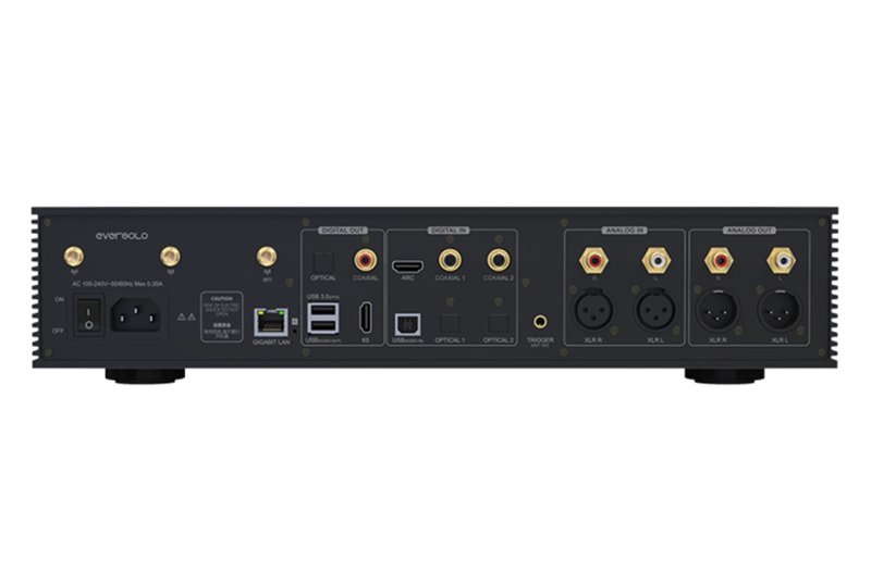 EverSolo DMP-A8 rear panel connections