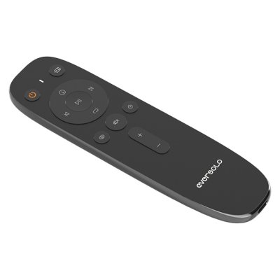 EverSolo V16 Remote Control