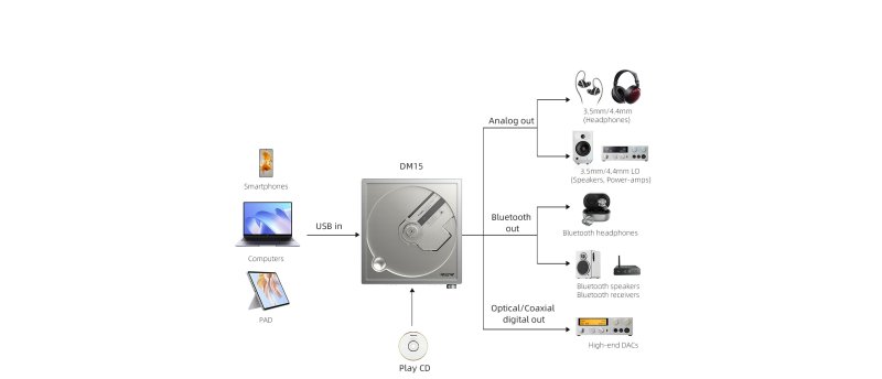 FiiO DM15 R2R signal chain block diagram