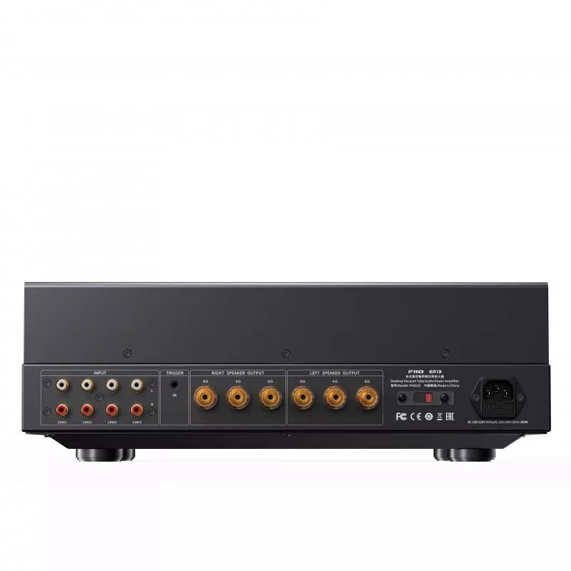 FiiO EA13 Tube Power Amplifier Black rear panel connections