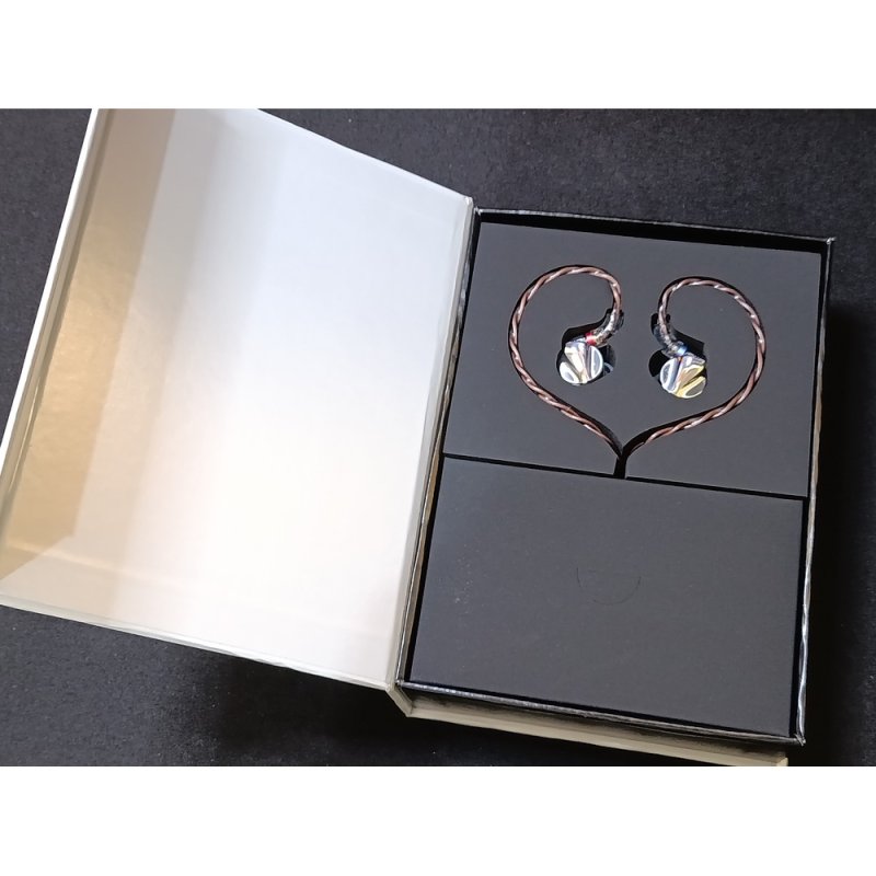 FiiO FD15 Racing Silver - pair with box