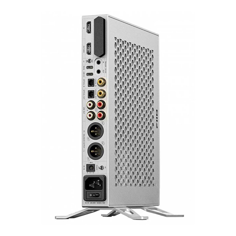 FiiO K19 Desktop DAC and Headphone Amplifier Silver - Rear Panel