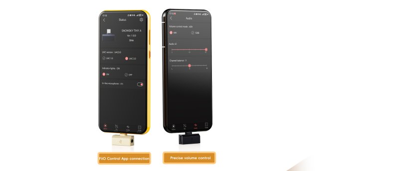 FiiO Tiny B Gold - FiiO Control App