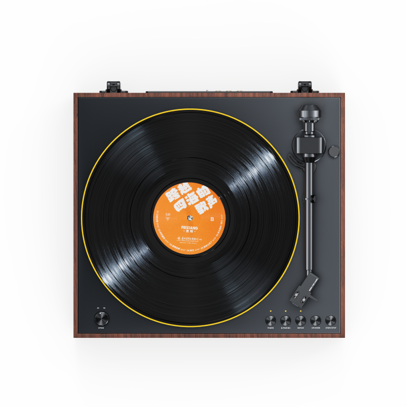 FiiO TT11 Brown - top-down view showing platter and controls