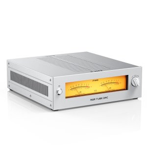 FiiO WARMER Desktop R2R Tube Buffer DAC Silver