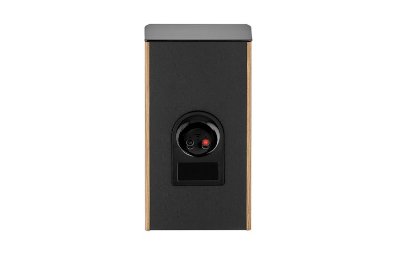 Focal Aria Evo X N1 Prime Walnut - rear panel binding posts