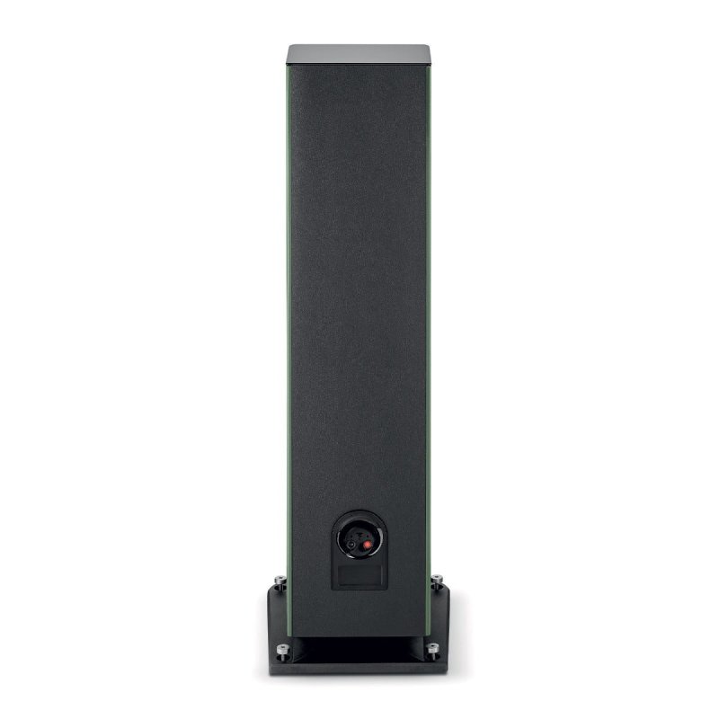 Focal Aria Evo X N4 Moss Green High Gloss rear with binding posts