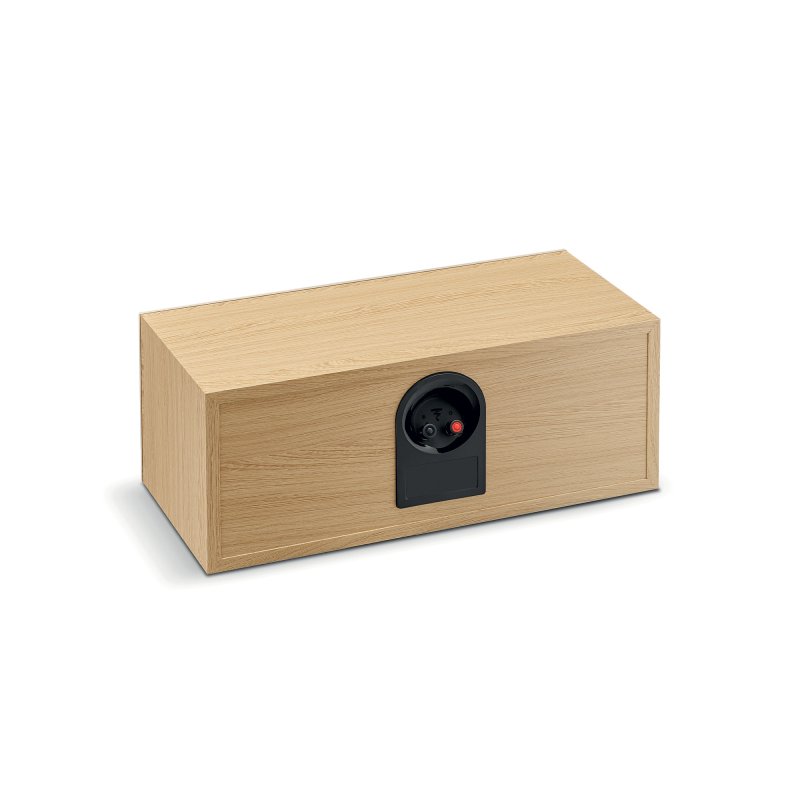 Focal Theva Centre Speaker Light Wood rear terminals