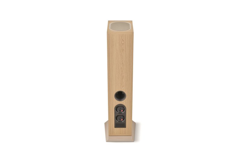 Focal Theva N3 Light Wood rear vent and terminals