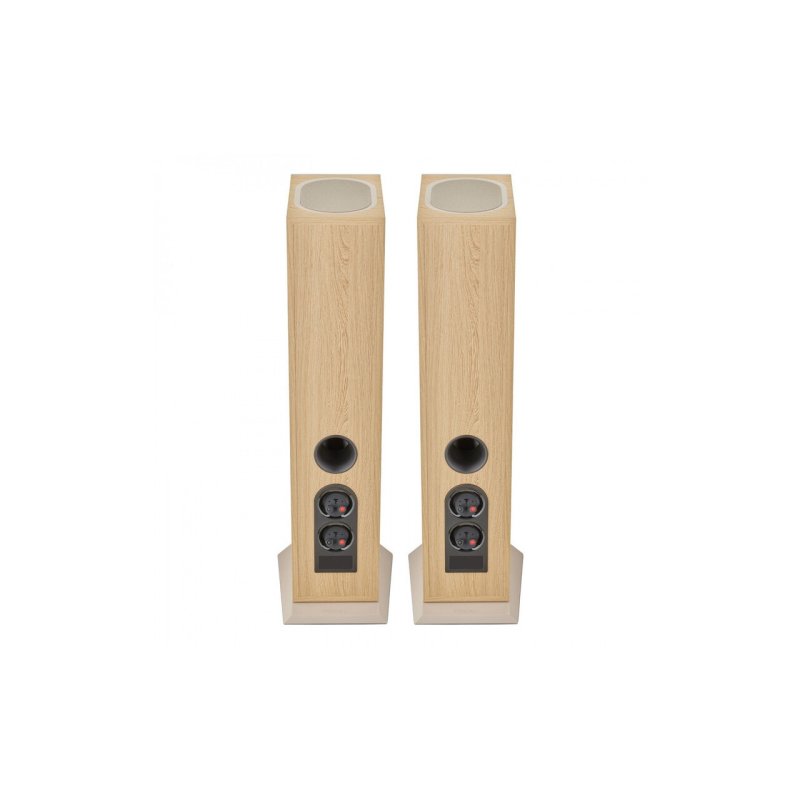 Focal Theva N3-D Light Wood - rear showing bass port and binding posts