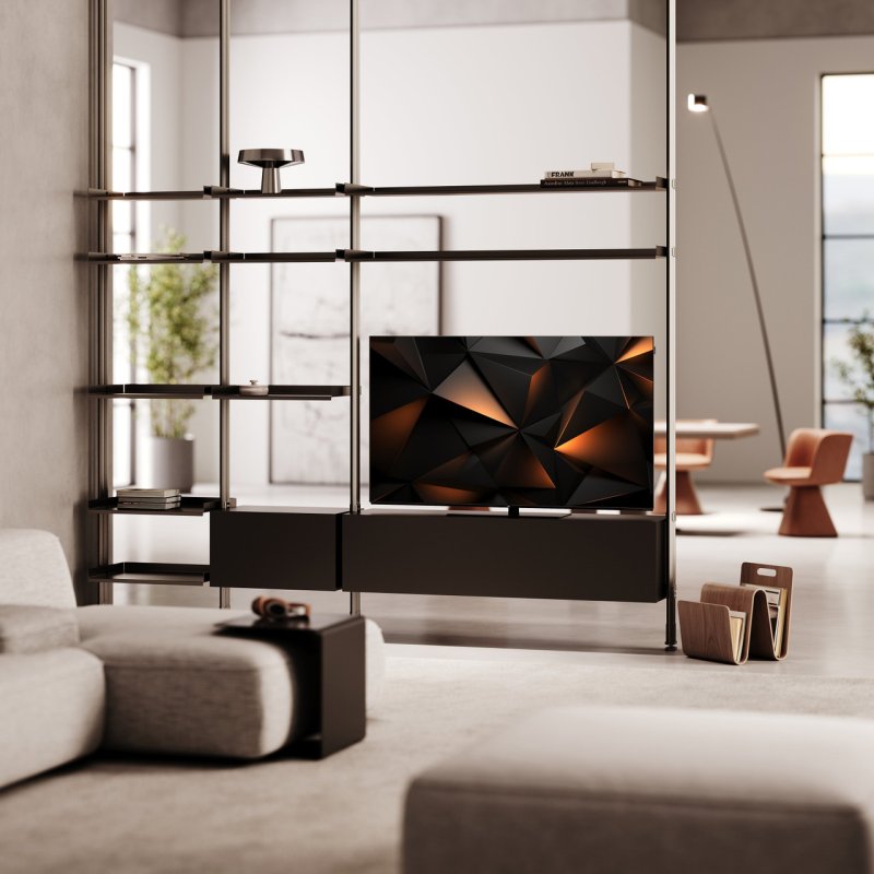 Loewe We. SEE 48 OLED — lifestyle