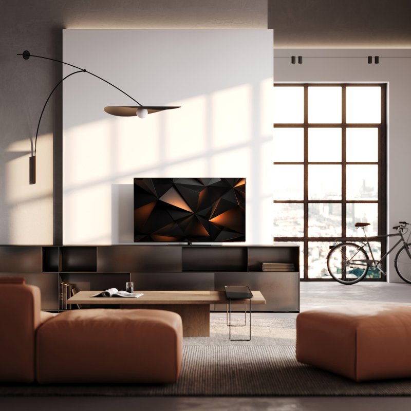 Loewe We. SEE 65 OLED — lifestyle