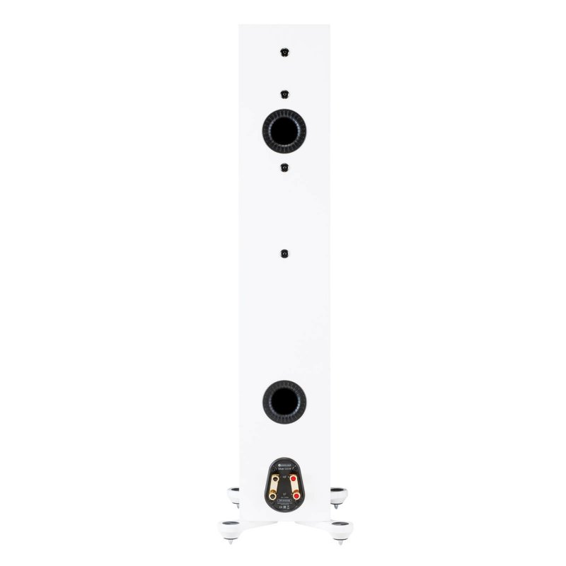 Monitor Audio Silver 300 7G Floorstanding Speakers Ash (Pair) — rear panel