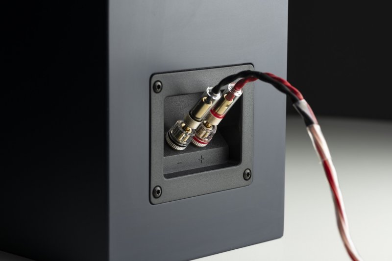 Pro-Ject Connect it LS E connected to speaker