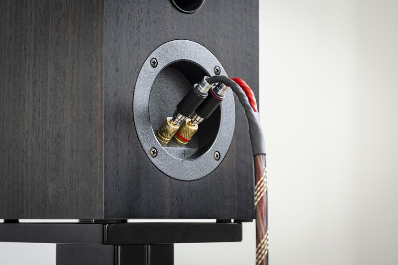 Pro-Ject Connect it LS DS connected to speaker binding posts