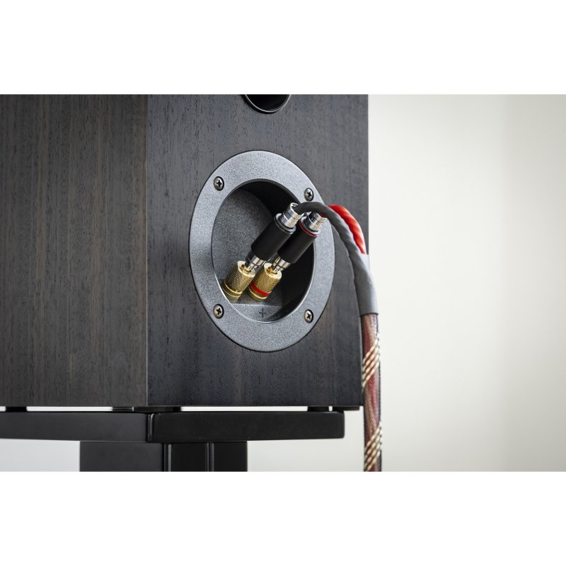 Pro-Ject Connect it LS DS connected to speaker binding posts